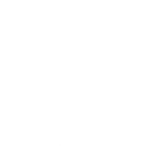 baobabBLANC
